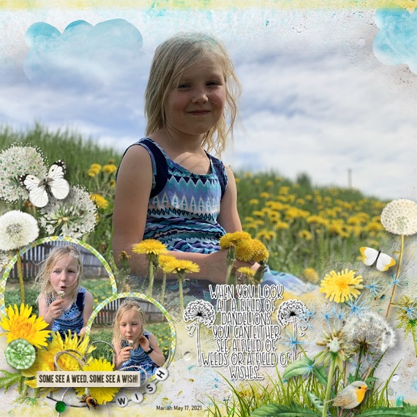 Dandelion