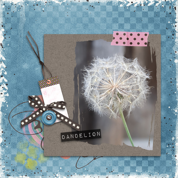 Dandelion
