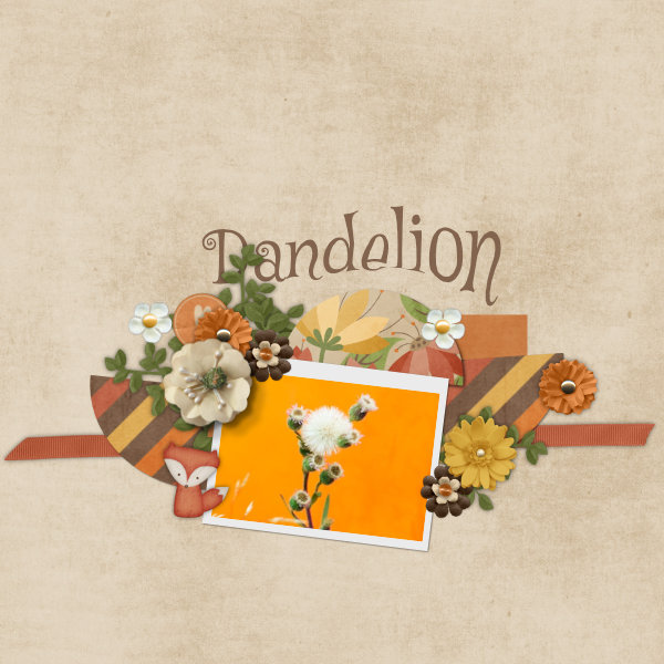 Dandelion