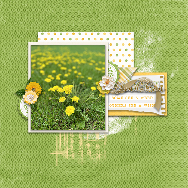 Dandelion