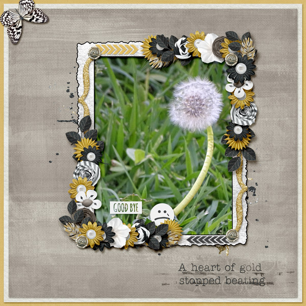 dandelion_small