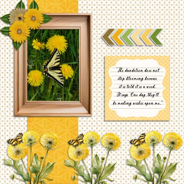 Dandelions bloom