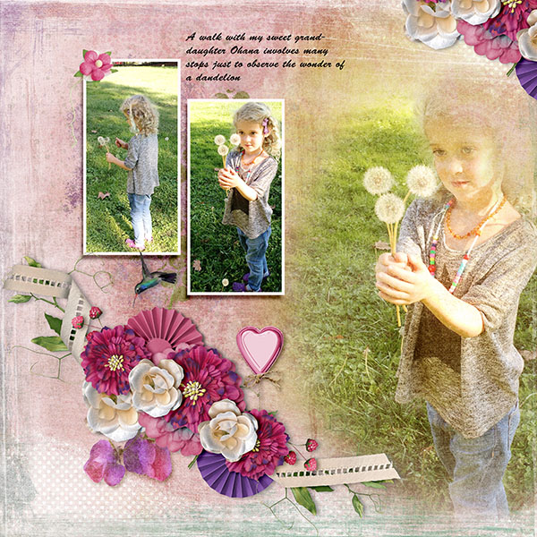 Dandelions