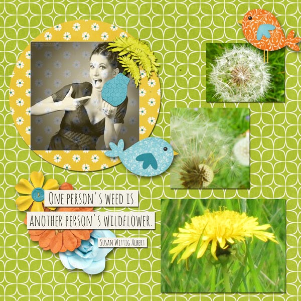 Dandelions