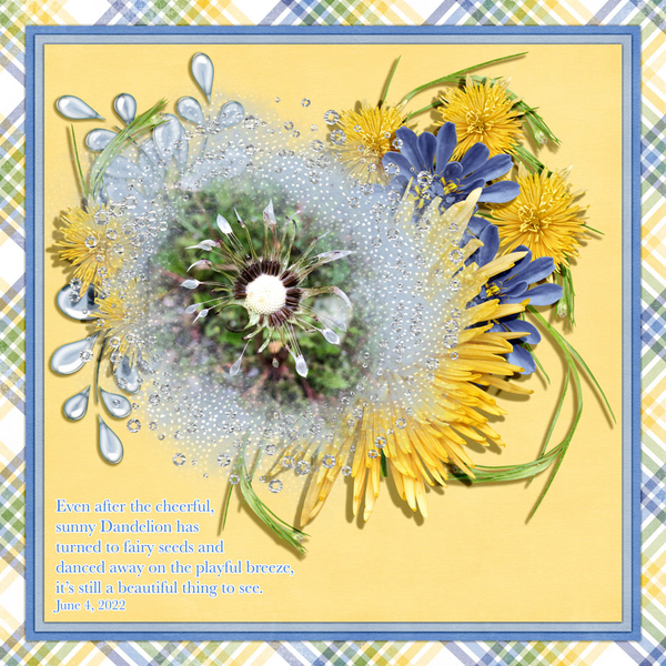 DANDELIONS