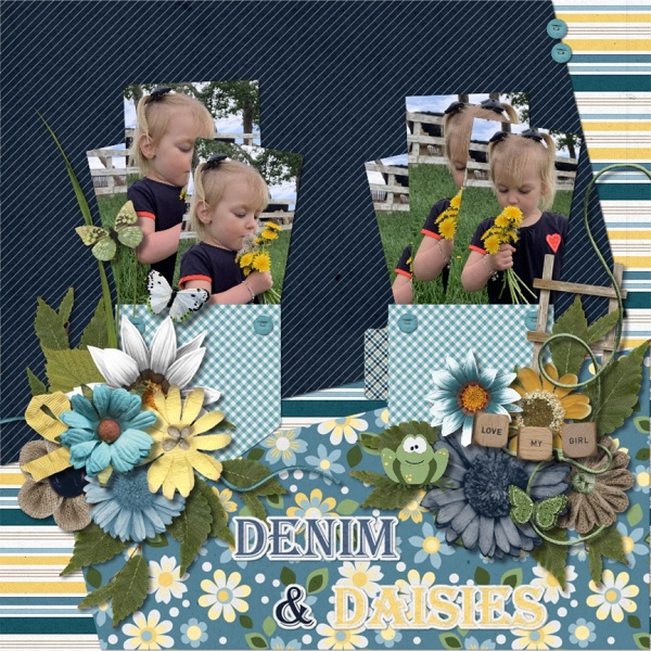 Dandelions