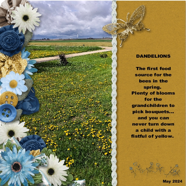 Dandelions