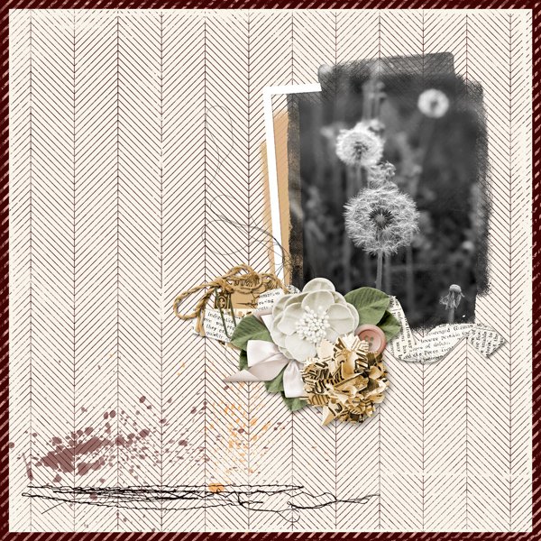 Dandelions