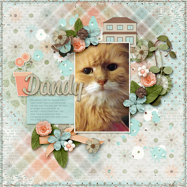 Dandy