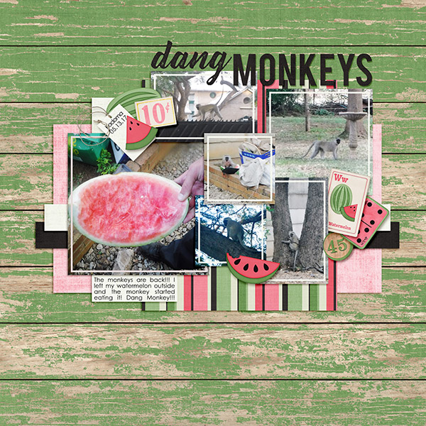 Dang Monkeys