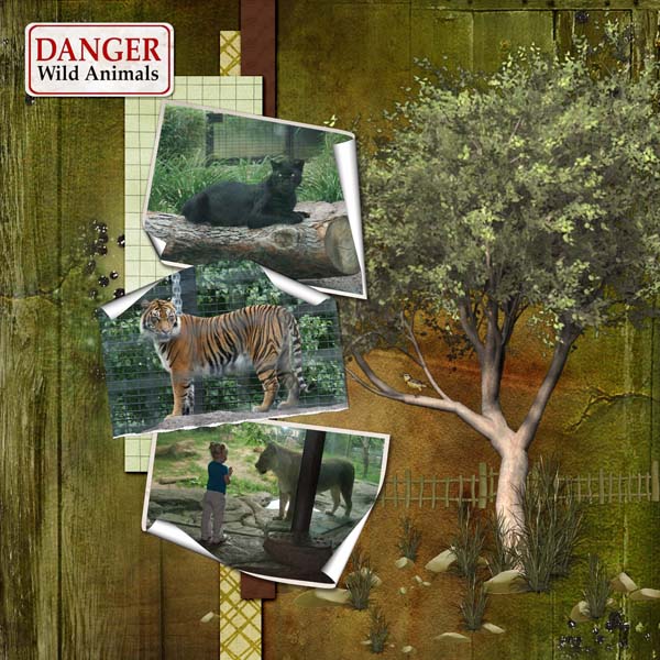 Danger Wild Animals