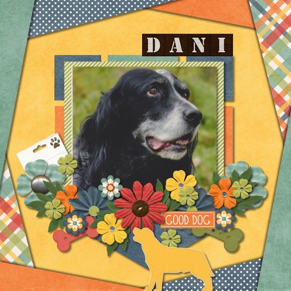 Dani
