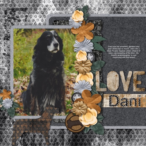 Dani
