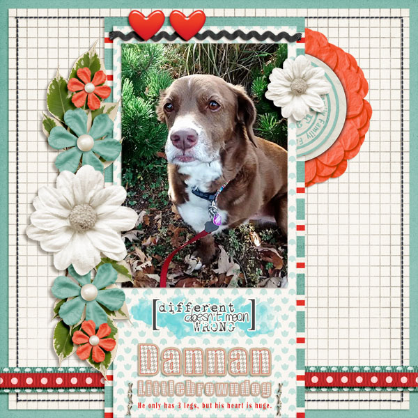 Dannan Littlebrowndog