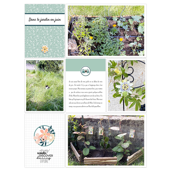 Dans le jardin en juin