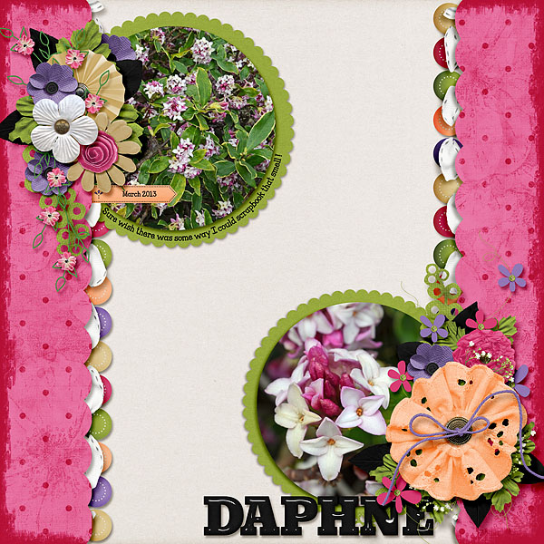 Daphne