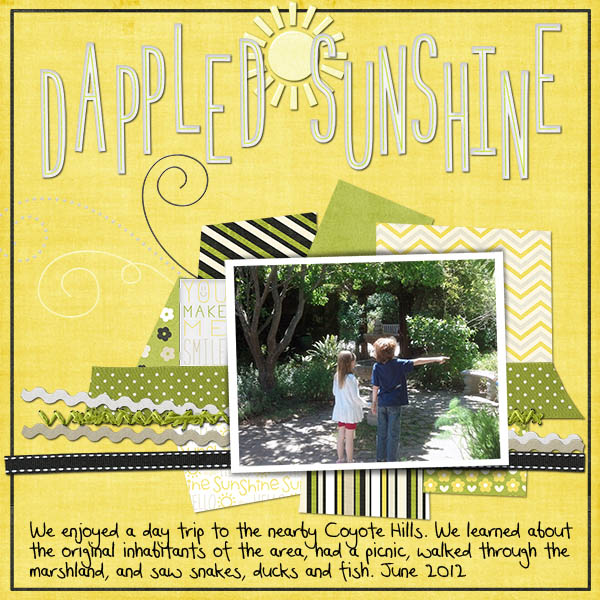 Dappled Sunshine