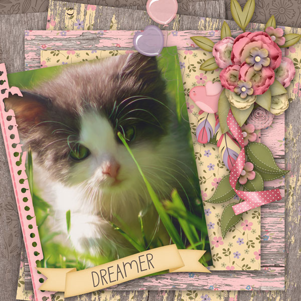 Dare to Dream