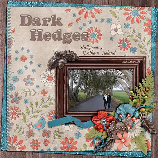 Dark Hedges-WW-ddnd