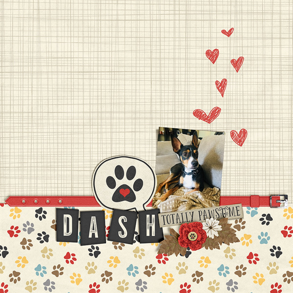 ~Dash~