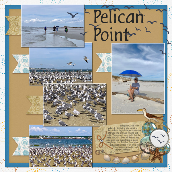 Dauphin Island Pelican Point
