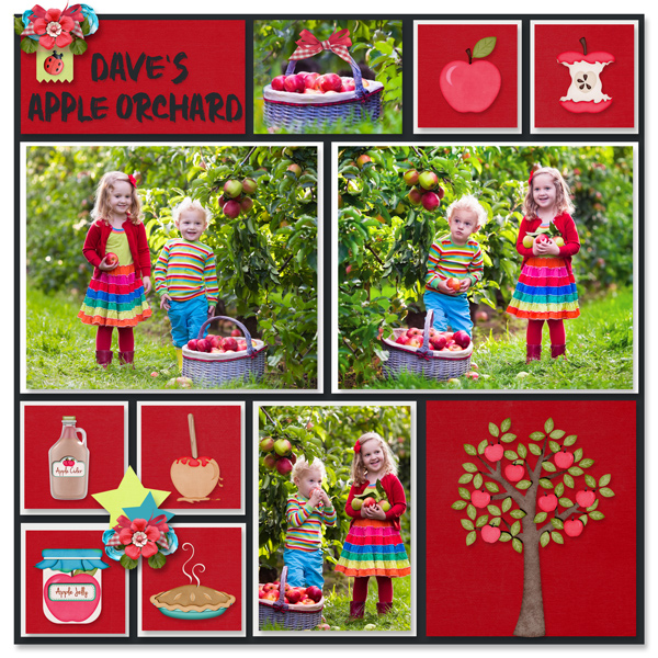 Dave's Apple Orchard