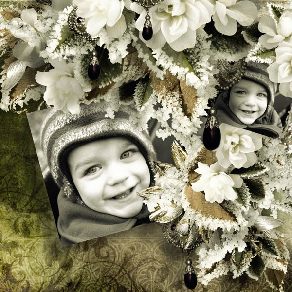 David in winter