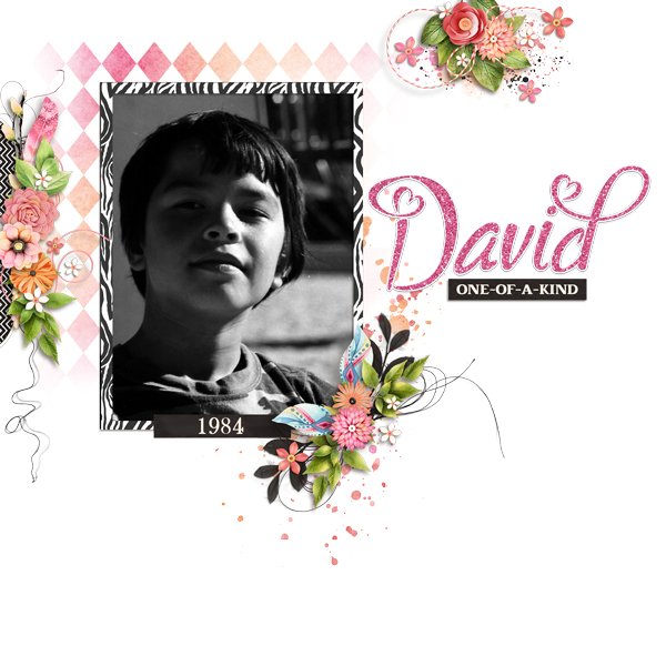 David - One of a Kind