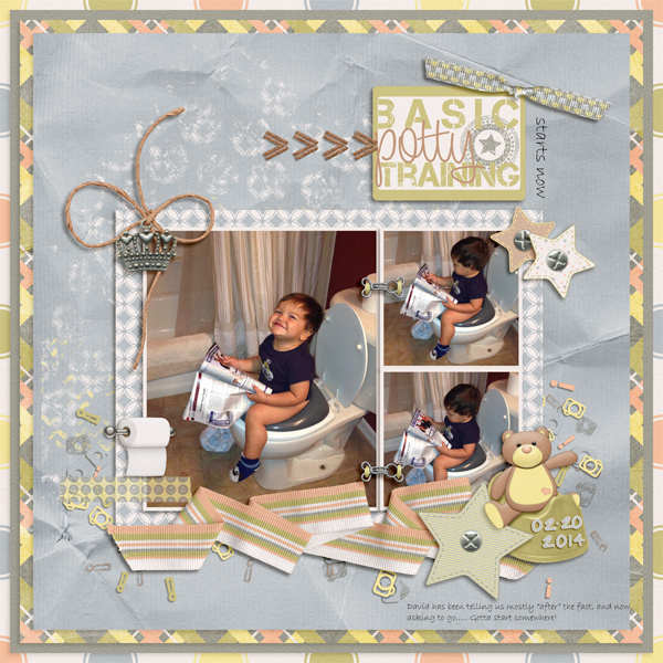 David -Potty Chair