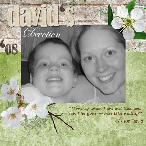 davidsdevotion
