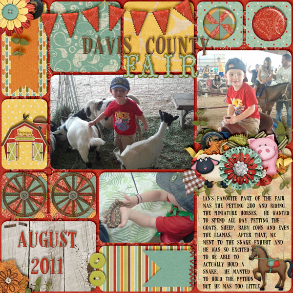 Davis Fair