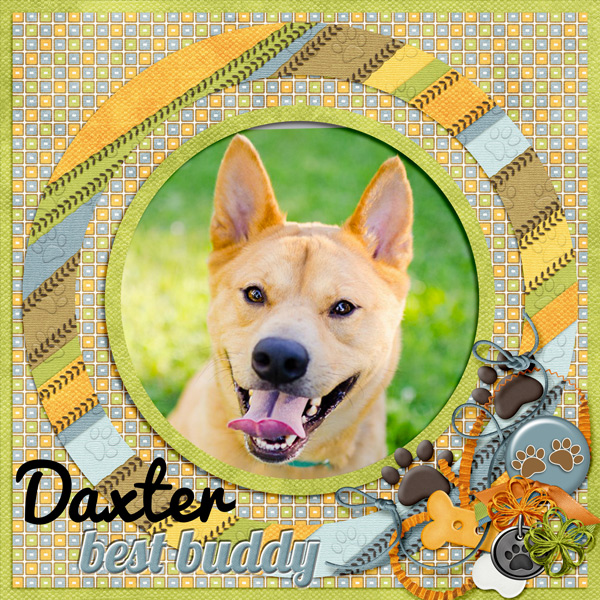 Daxter