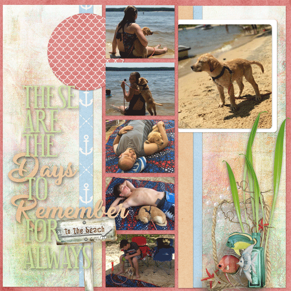 Day at the Beach