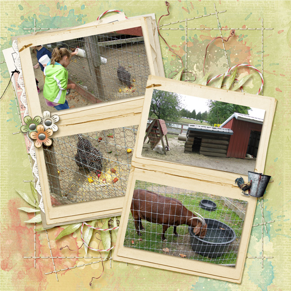 Day at the Farm