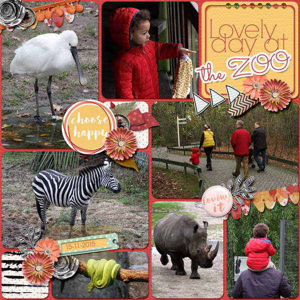 Day at the ZOO