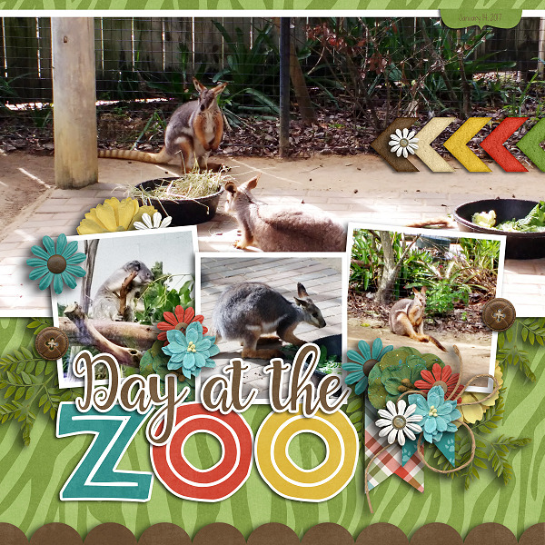 Day at the Zoo