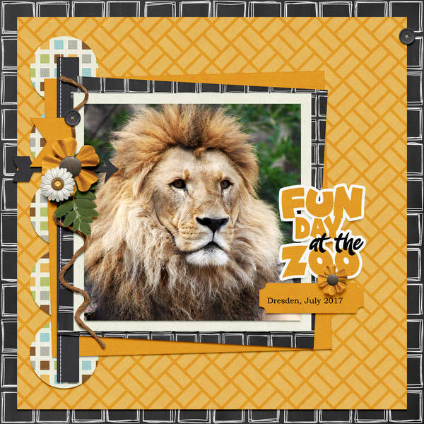 Day at the Zoo