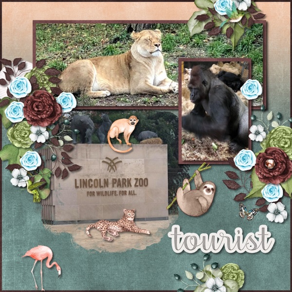 Day at the Zoo