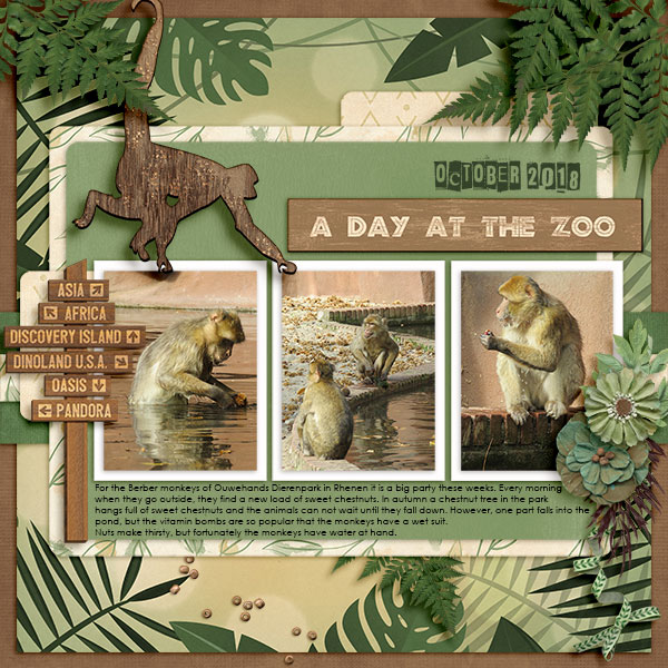 Day at the Zoo