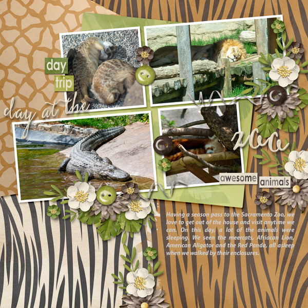 Day At The Zoo