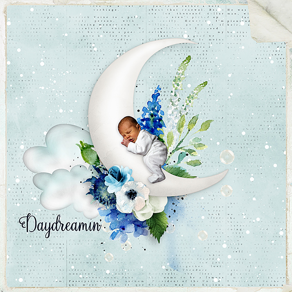 Day Dreamer