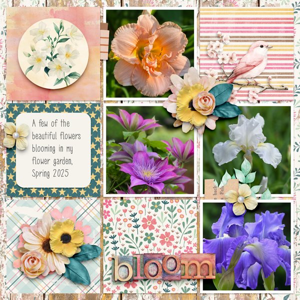 Day-Dreams-and-Flowers.jpg