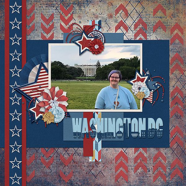 Day in DC