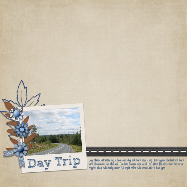 Day Trip