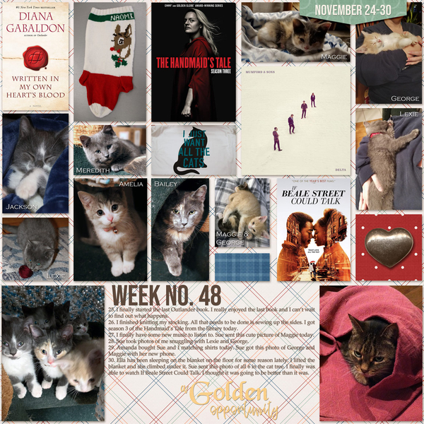 Day2Day 2019 Week 48
