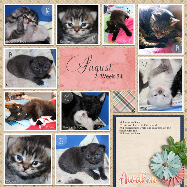 Day2Day 2020 Week 34