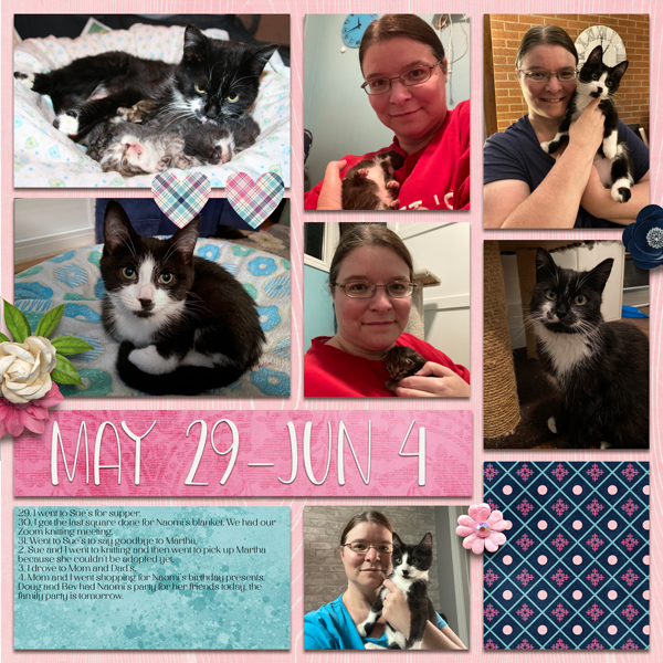 Day2Day 2022 Week 23