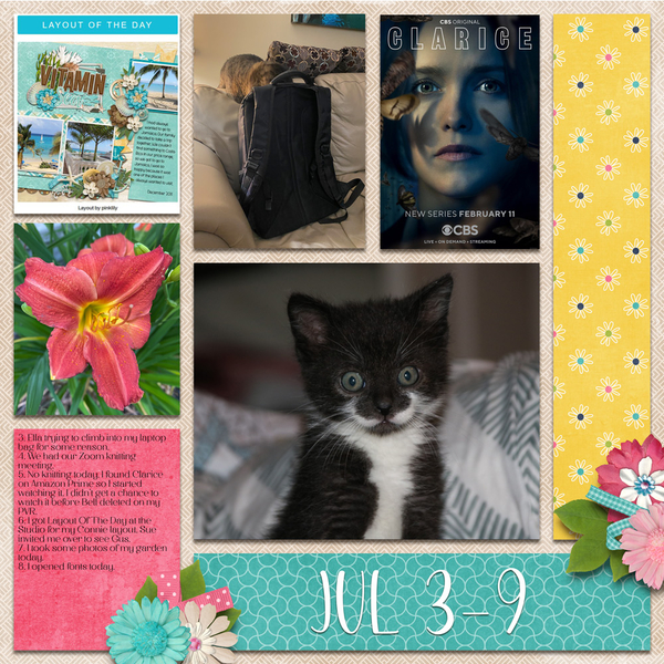 Day2Day 2022 Week 28