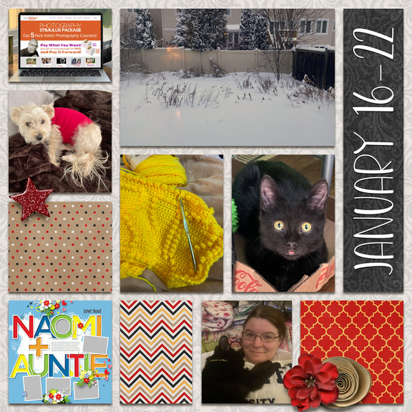 Day2Day 2022 Week 4