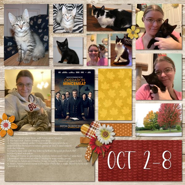 Day2Day 2022 Week 41
